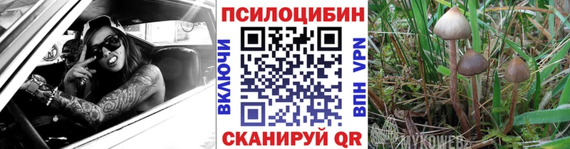 Галлюциногенные грибы MAGIC MUSHROOMS  KRAKEN как войти  Трёхгорный 